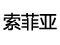 索菲亚衣柜
